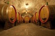 Winemaking: Tips For Buying Your First Wine Kit
