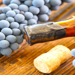 How to Conduct a Wine Tasting – The Basics