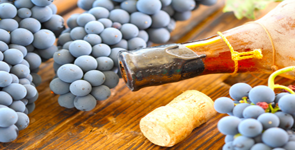 How to Conduct a Wine Tasting – The Basics
